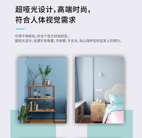 生態(tài)之家超啞光漆02