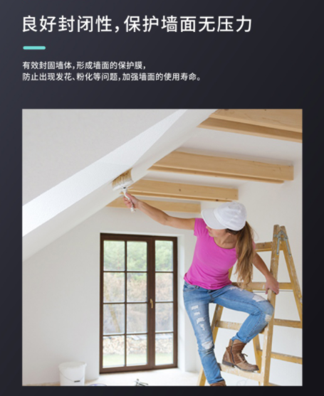 兩只璧琥防脫落吊頂漆02