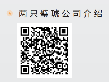 兩只璧琥公司介紹
