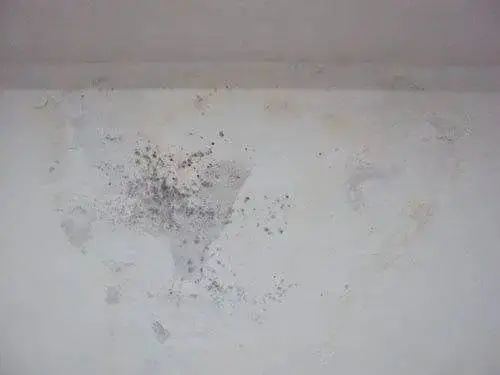 微信圖片_20230103164508