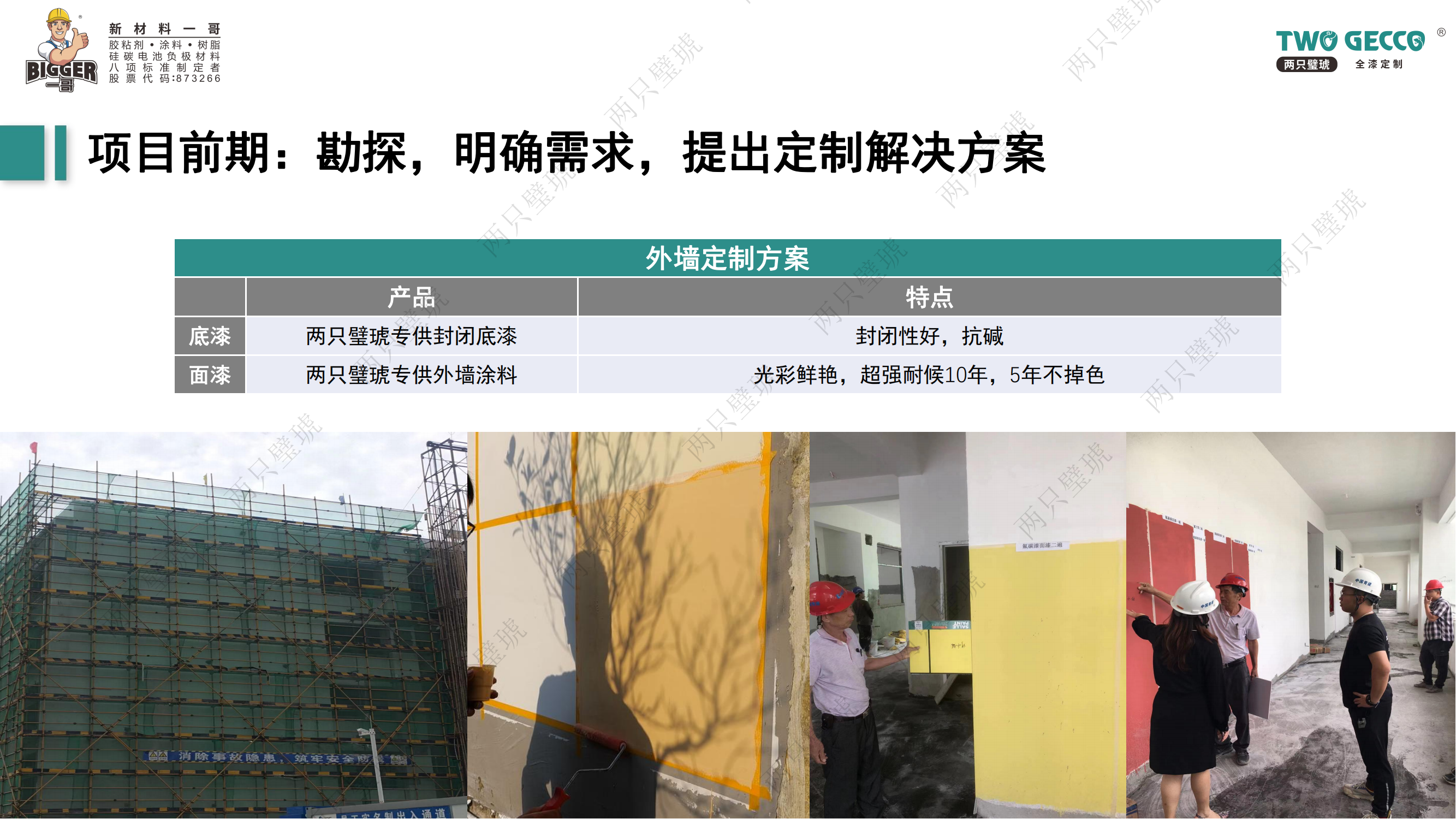 兩只璧琥全漆定制項目前中后解決方案合集_24