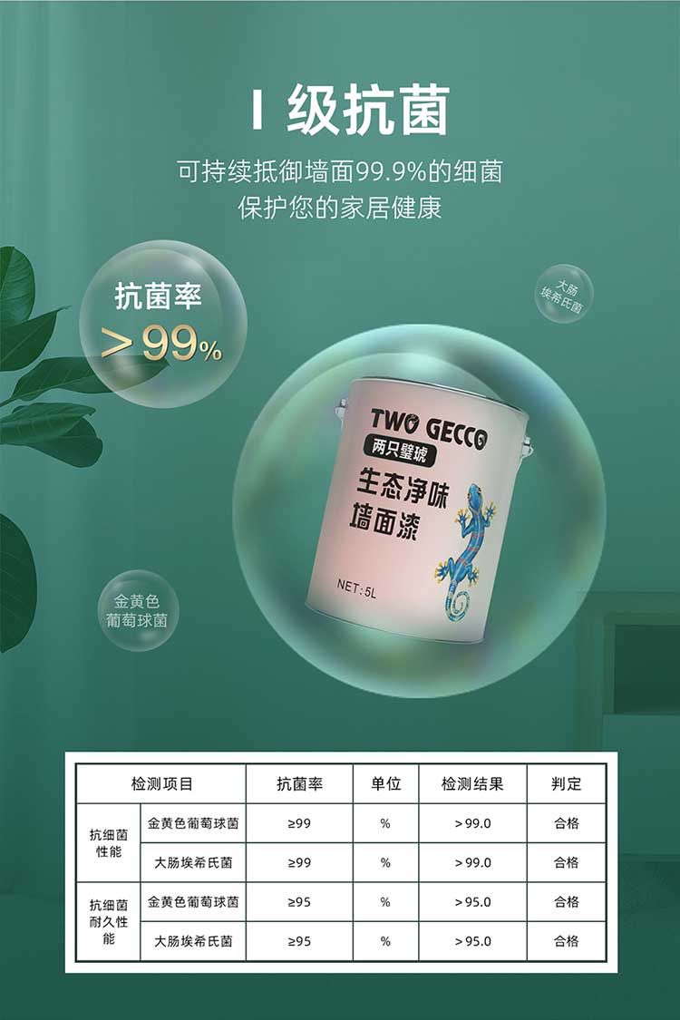 康乃馨無機凈化除醛漆_04