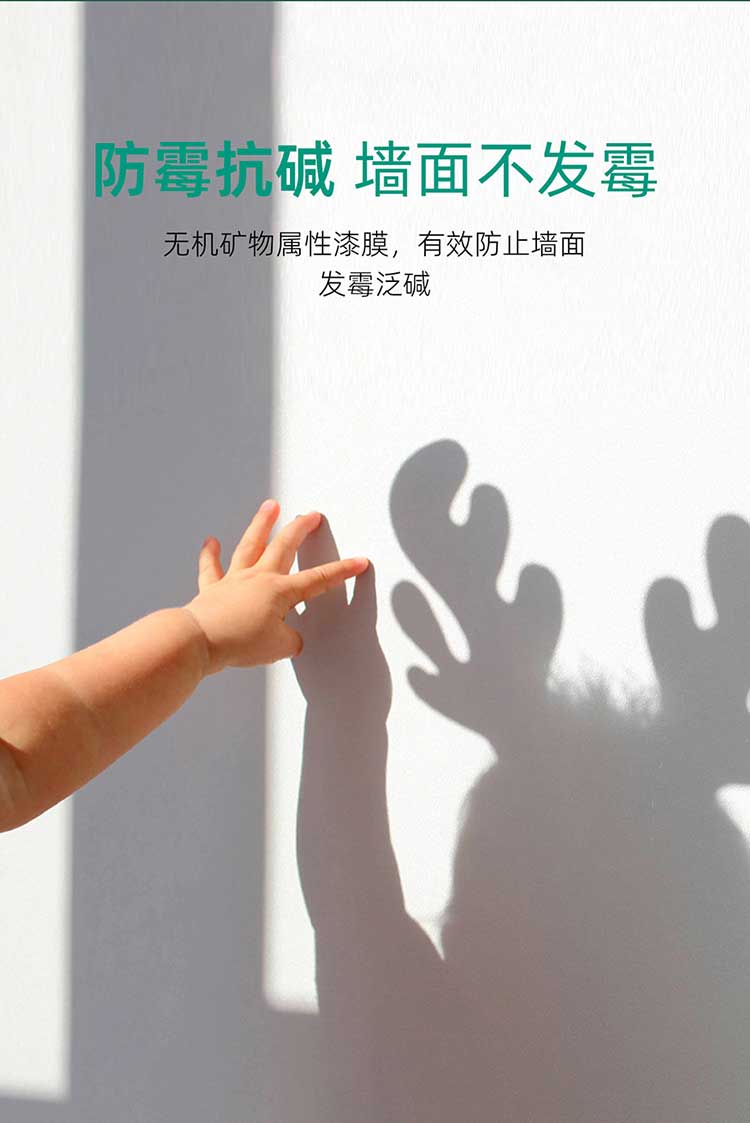 康乃馨無機凈化除醛漆_05