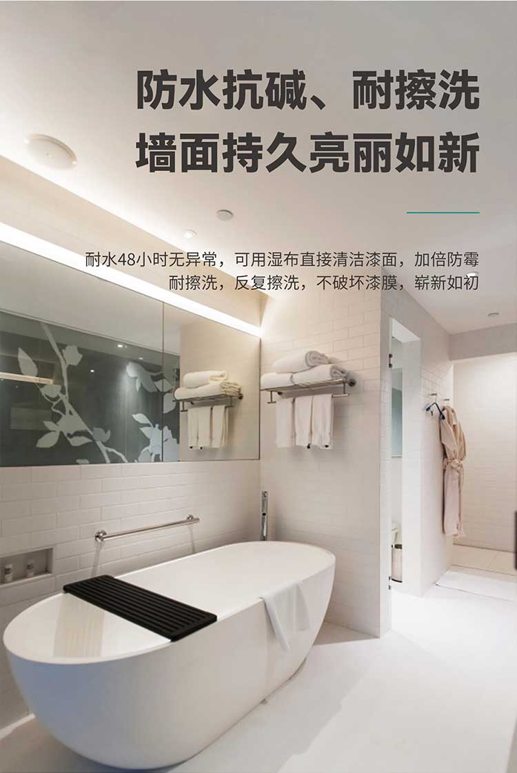 防脫落吊頂漆_05